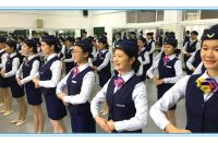 交通客运服务专业