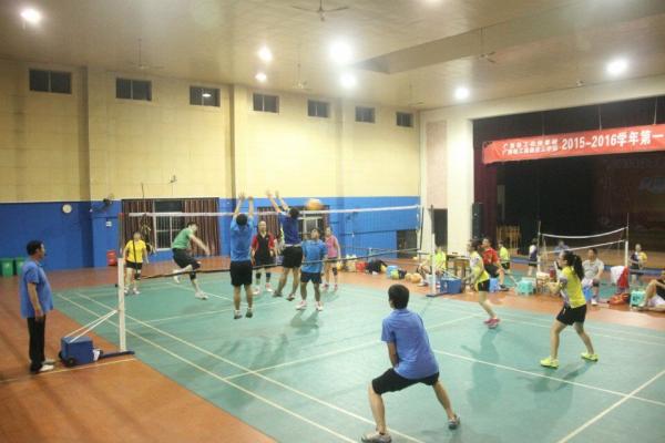 2015教工运动会气排球比赛.jpg